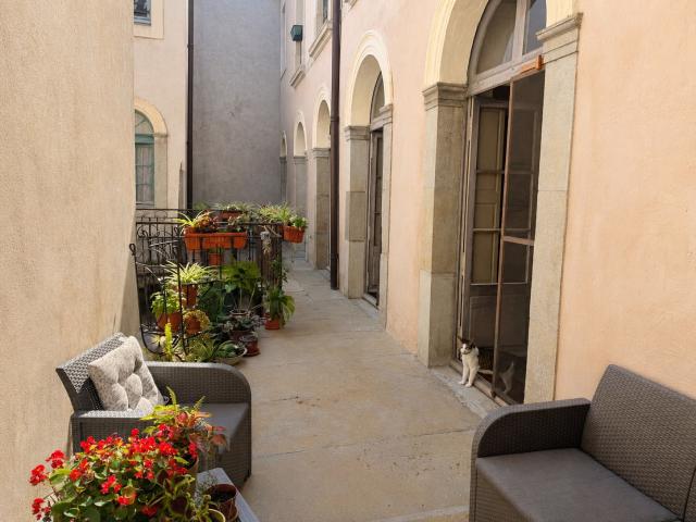 Appartement vente à Carcassonne