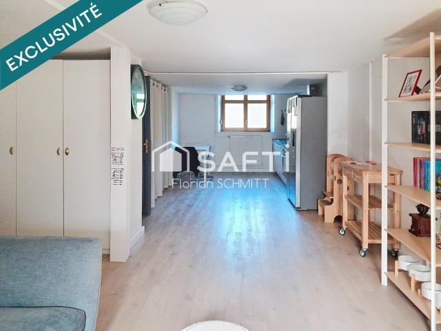 Appartement vente à Colmar-Ribeauvillé, Neuf-brisach