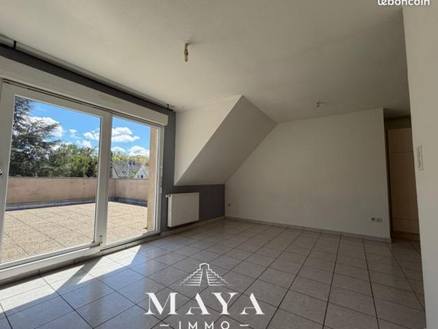 Appartement vente à Altkirch, Wittersdorf