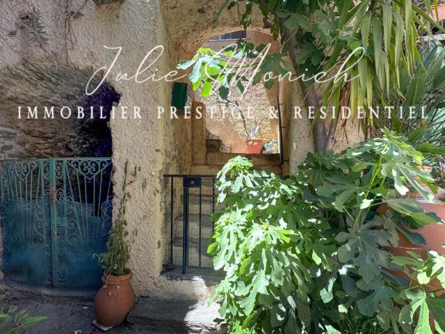 Appartement vente à Céret, Banyuls-sur-mer