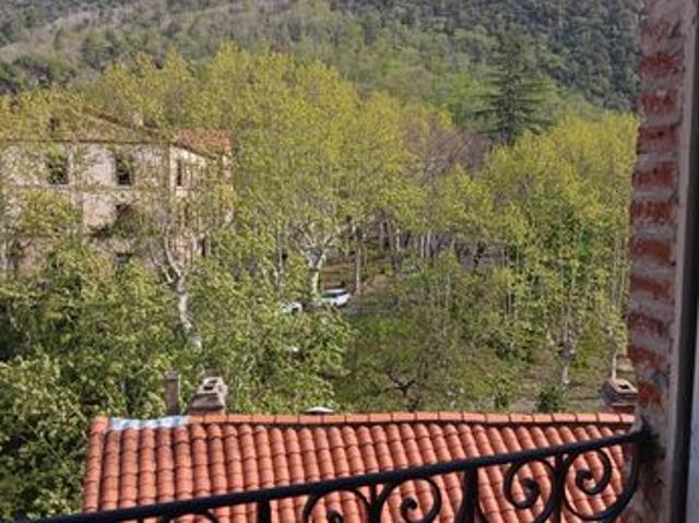 Appartement vente à Céret, Amélie-les-bains-palalda