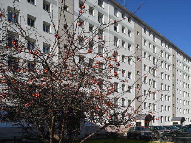 Appartement location à Gennevilliers, Les Agnettes