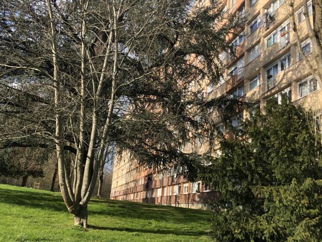 Appartement vente à Fontainebleau, Avon