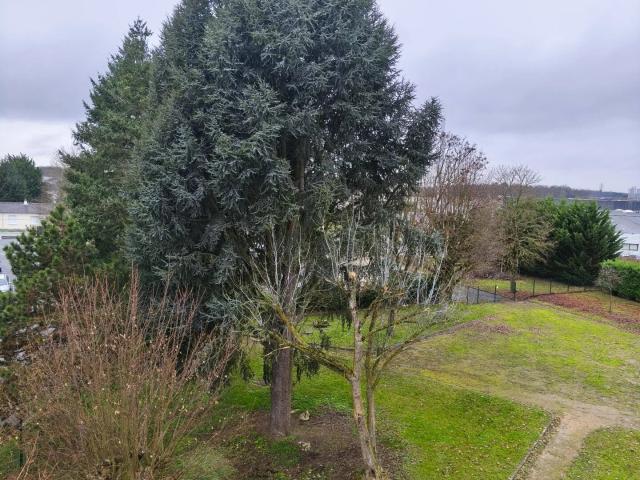 Appartement vente à Tours, Joué-lès-tours
