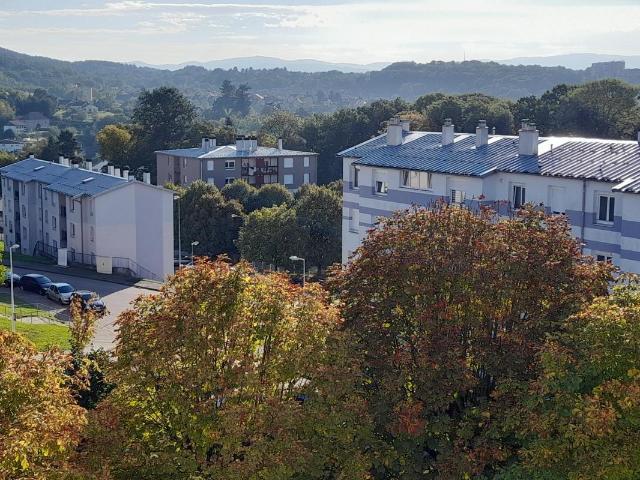 Appartement location à Saint-Dié-des-Vosges, Saint-dié