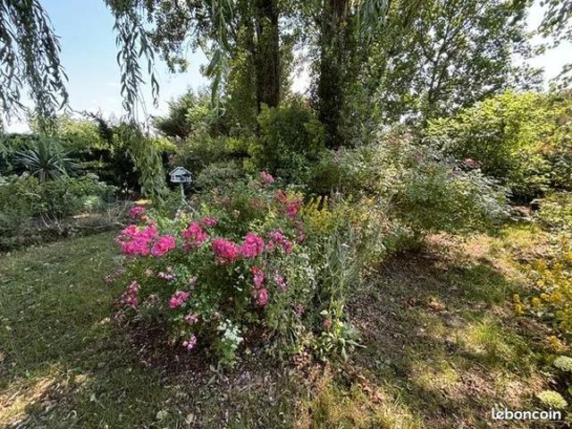 Maison vente à Torcy, Gretz-armainvilliers
