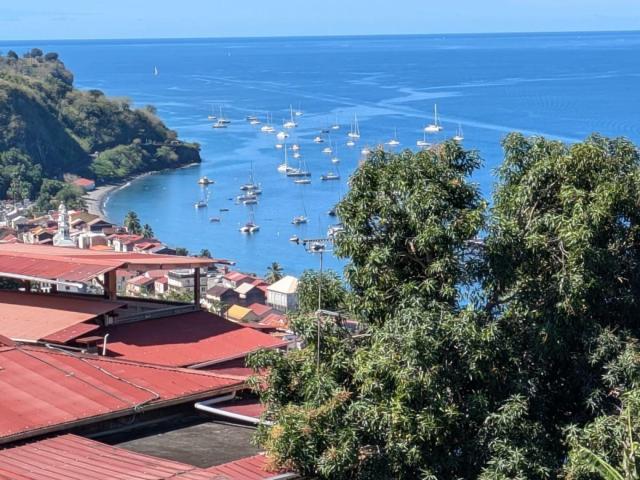 Appartement vente à Martinique