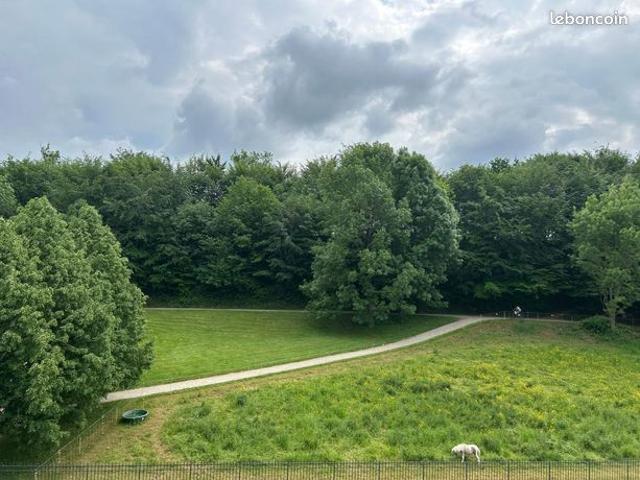 Appartement vente à Pau