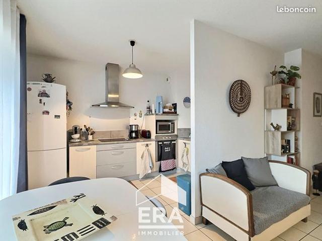 Appartement vente à Albi