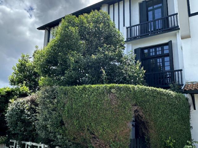 Appartement vente à Bayonne