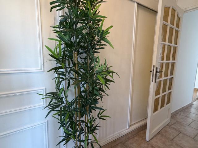 Appartement location à Nice