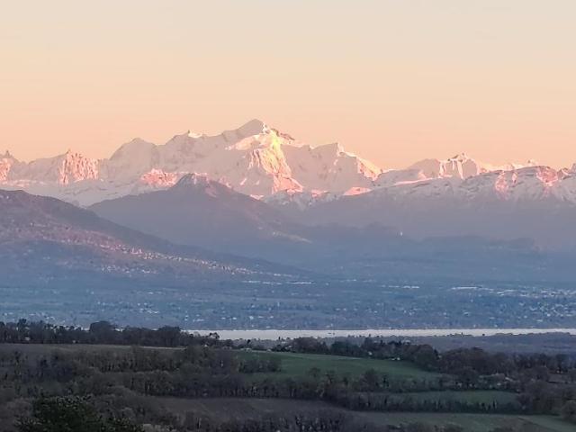 Appartement vente à Gex