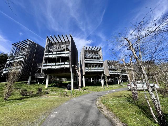 Appartement vente à Bayonne