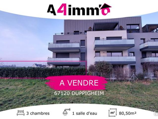 Appartement vente à Molsheim, Duppigheim