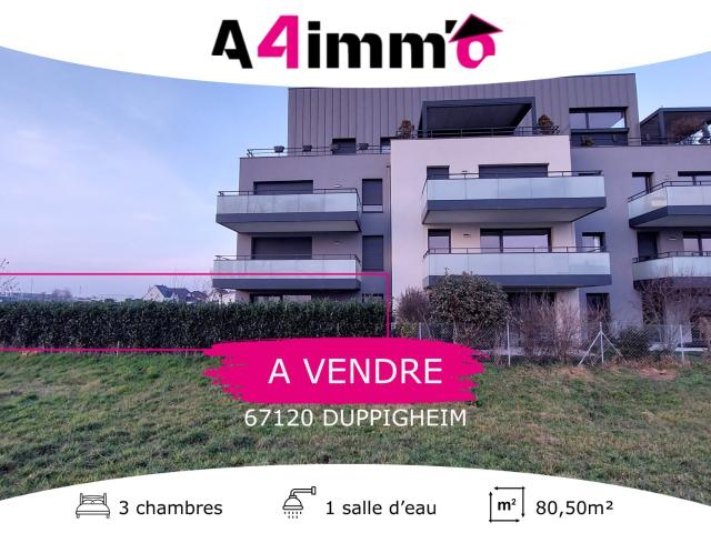 Appartement vente à Duppigheim, Collectivité européenne d'Alsace