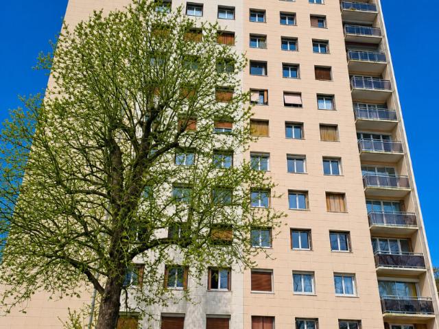Appartement vente à Fontainebleau, Avon