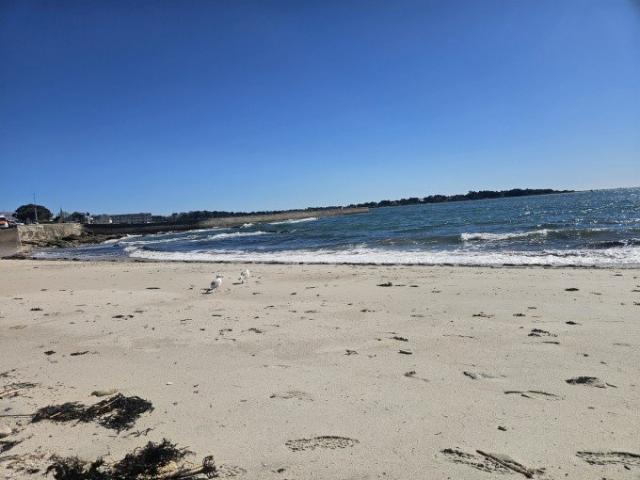 Appartement vente à Concarneau, Finistère