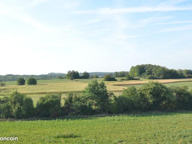 Appartement vente à Mulhouse