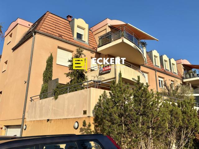 Appartement vente à Obernai, Collectivité européenne d'Alsace
