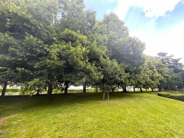 Appartement vente à Versailles, Plaisir