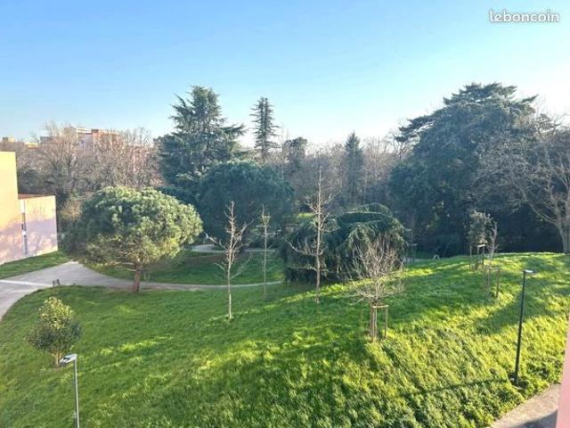 Appartement vente à Toulouse