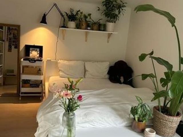 Appartement vente à Molsheim, Bischoffsheim