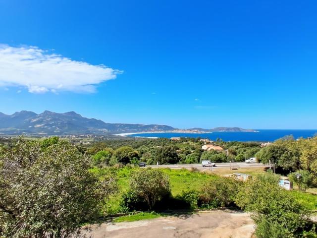 Appartement vente à Calvi, Lumio