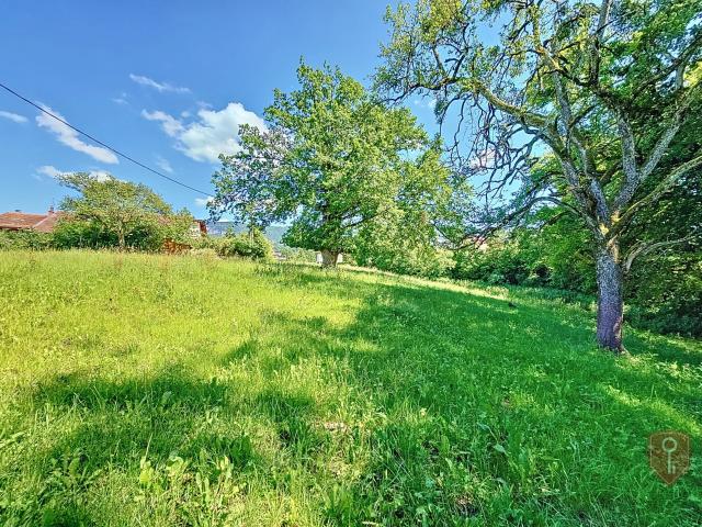 Appartement vente à Saint-Julien-en-Genevois, Neydens