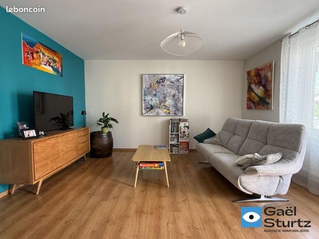 Appartement vente à Strasbourg, Collectivité européenne d'Alsace