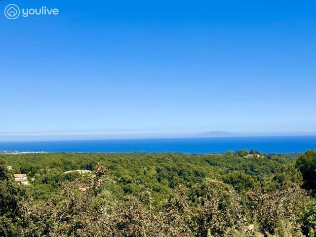 Appartement vente à Corte, San-giuliano