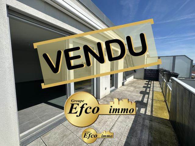 Appartement vente à Rosenau, Collectivité européenne d'Alsace