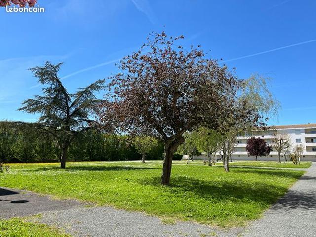 Appartement vente à Rochefort