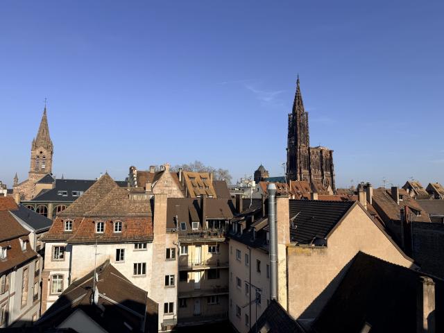 Appartement vente à Strasbourg, Hoenheim