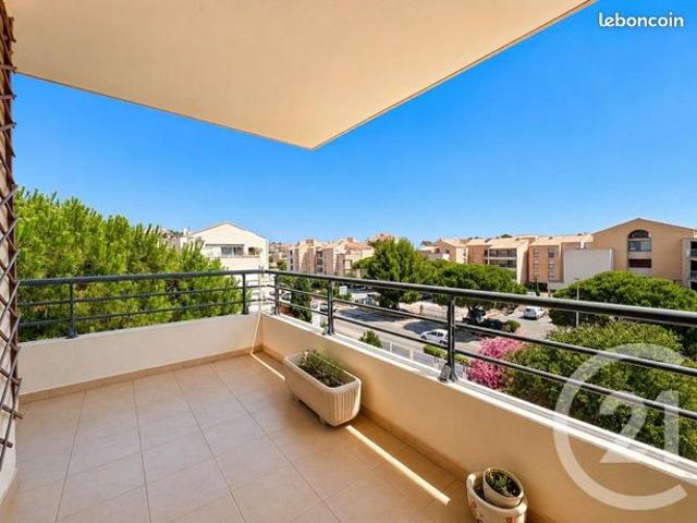 Appartement vente à Calvi