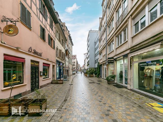 Appartement vente à Strasbourg, Hoenheim