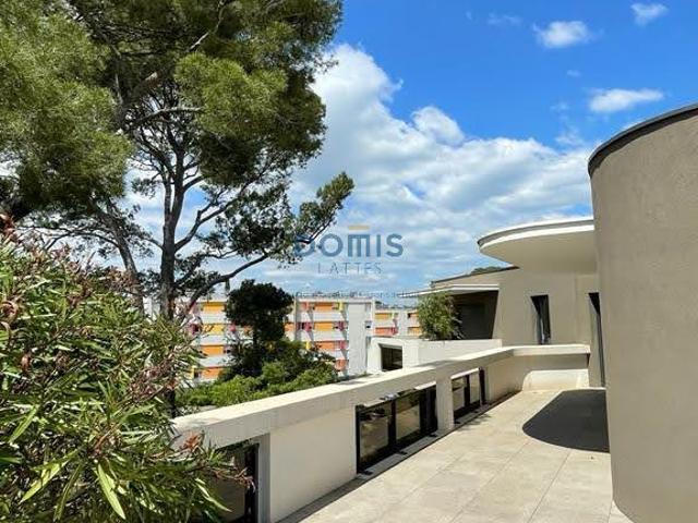 Appartement location à Montpellier