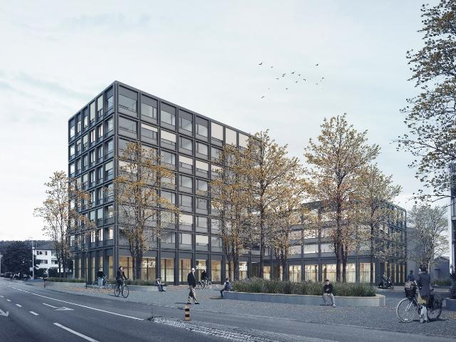 Apartment mieten in Berikon