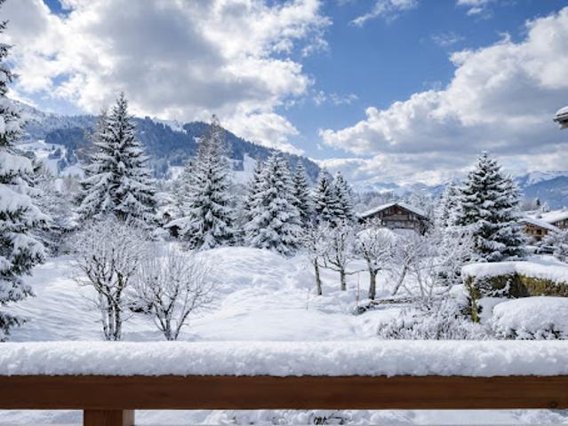 Appartement vente à Bonneville, Megève