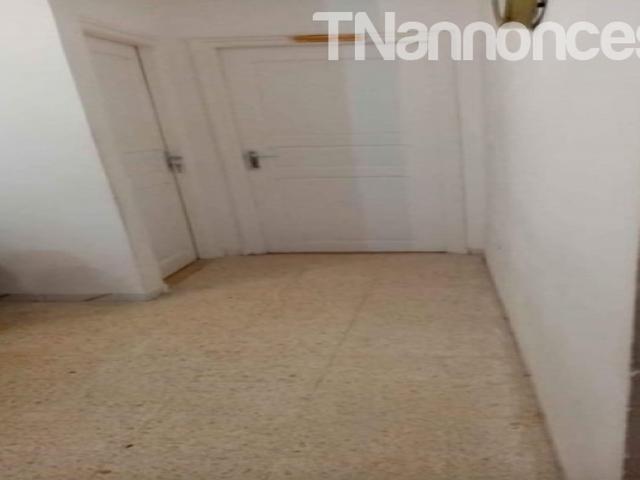 Appartement location