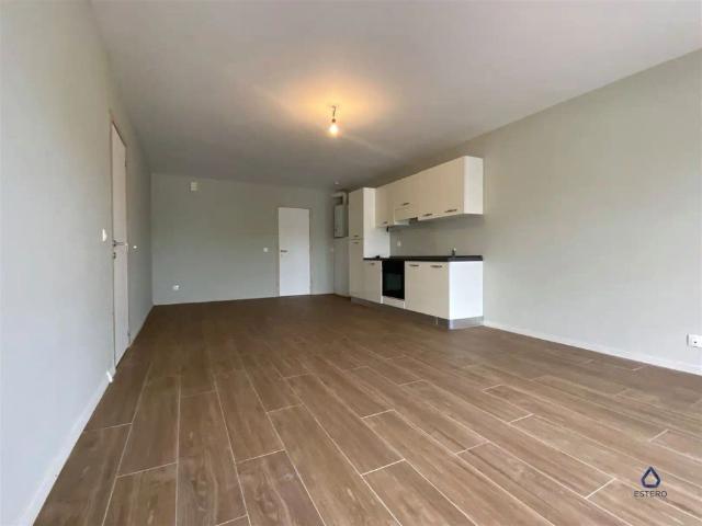 Appartement location à Wasmes, Colfontaine