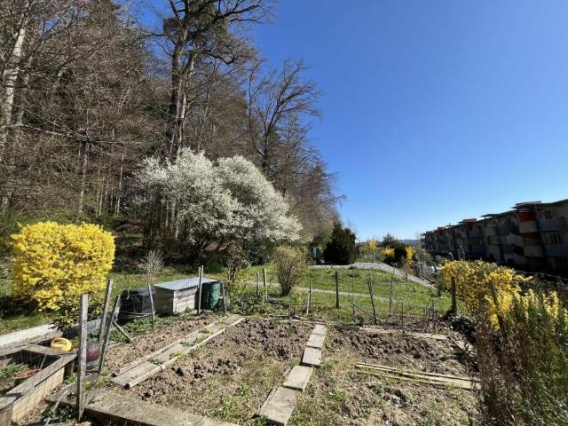 Immobilie kaufen in Givisiez, Freiburg