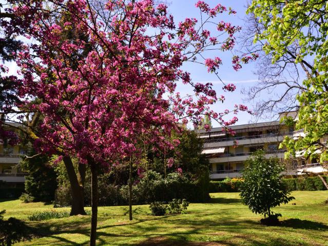 Appartement vente à Lyon, Métropole de Lyon