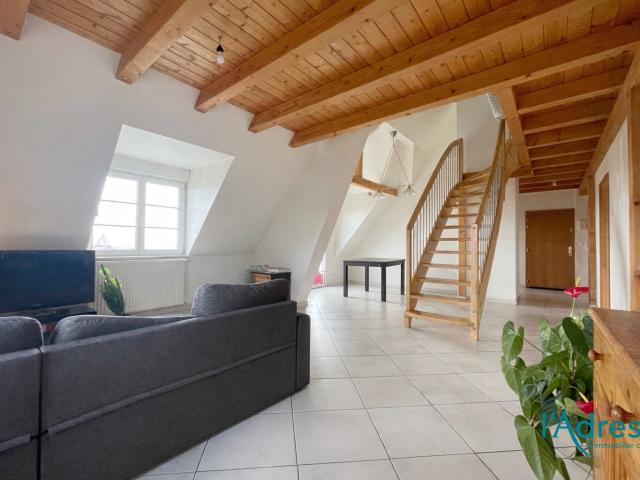 Appartement vente à Colmar-Ribeauvillé, Mittelwihr