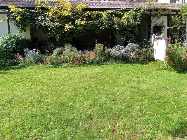 Appartement location à Colmar-Ribeauvillé, Colmar