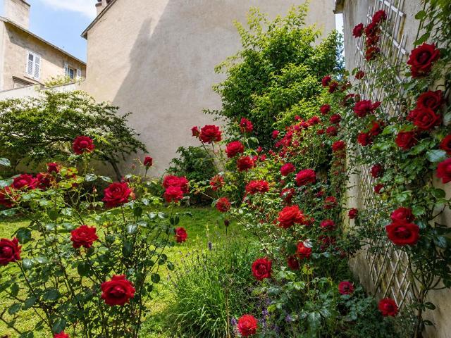 Appartement vente à Nancy