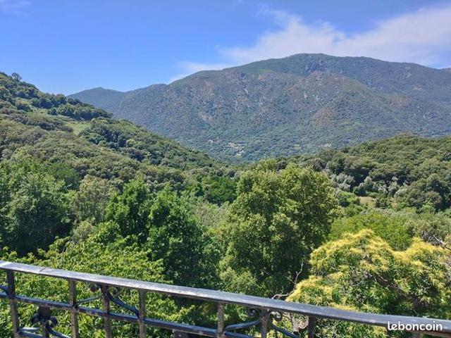 Appartement vente à Sartène, Olmiccia