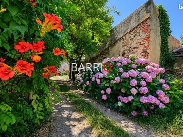 Appartement vente à Céret, Banyuls-sur-mer
