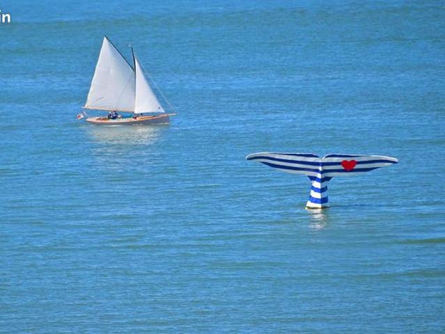 Appartement vente à Arcachon