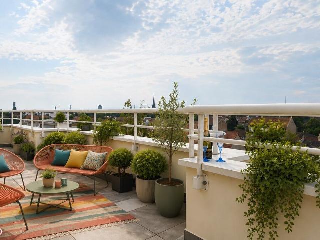 Appartement vente à Mulhouse