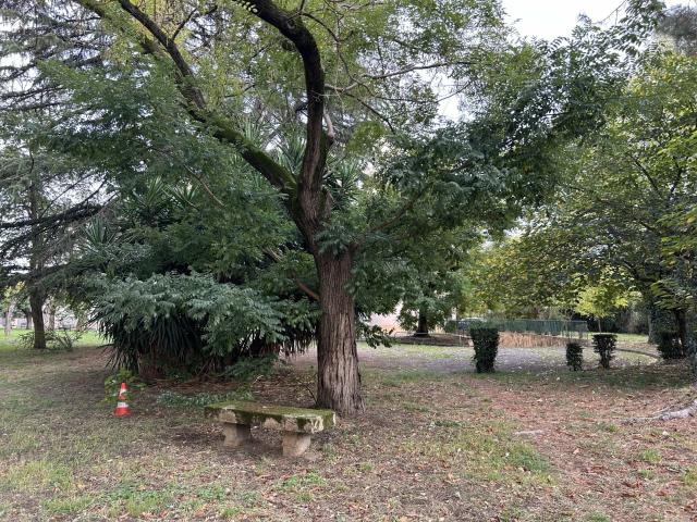 Appartement vente à Arles